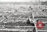 Standbild Arbeitnehmer Metzgerei United States USA, 1919, aus Sekunde 34 historischem Filmmaterial Videoclip 65675063933