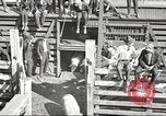 Standbild Arbeitnehmer Metzgerei United States USA, 1919, aus Sekunde 4 historischem Filmmaterial Videoclip 65675063934