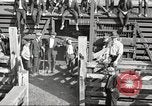 Standbild Arbeitnehmer Metzgerei United States USA, 1919, aus Sekunde 7 historischem Filmmaterial Videoclip 65675063934