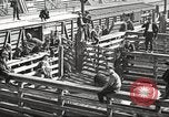 Standbild Arbeitnehmer Metzgerei United States USA, 1919, aus Sekunde 11 historischem Filmmaterial Videoclip 65675063934
