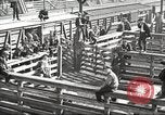 Standbild Arbeitnehmer Metzgerei United States USA, 1919, aus Sekunde 15 historischem Filmmaterial Videoclip 65675063934