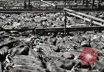Standbild Arbeitnehmer Metzgerei United States USA, 1919, aus Sekunde 18 historischem Filmmaterial Videoclip 65675063934