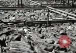 Standbild Arbeitnehmer Metzgerei United States USA, 1919, aus Sekunde 19 historischem Filmmaterial Videoclip 65675063934