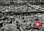 Standbild Arbeitnehmer Metzgerei United States USA, 1919, aus Sekunde 20 historischem Filmmaterial Videoclip 65675063934