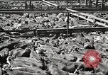 Standbild Arbeitnehmer Metzgerei United States USA, 1919, aus Sekunde 21 historischem Filmmaterial Videoclip 65675063934