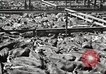 Standbild Arbeitnehmer Metzgerei United States USA, 1919, aus Sekunde 22 historischem Filmmaterial Videoclip 65675063934