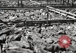 Standbild Arbeitnehmer Metzgerei United States USA, 1919, aus Sekunde 24 historischem Filmmaterial Videoclip 65675063934