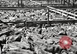 Standbild Arbeitnehmer Metzgerei United States USA, 1919, aus Sekunde 25 historischem Filmmaterial Videoclip 65675063934