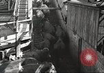 Standbild Arbeitnehmer Metzgerei United States USA, 1919, aus Sekunde 30 historischem Filmmaterial Videoclip 65675063934