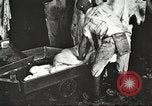 Image of workers in butchery United States USA, 1919, second 8 stock footage video 65675063935