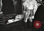 Image of workers in butchery United States USA, 1919, second 9 stock footage video 65675063935