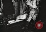 Image of workers in butchery United States USA, 1919, second 11 stock footage video 65675063935