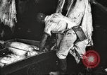 Image of workers in butchery United States USA, 1919, second 22 stock footage video 65675063935