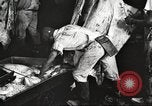 Image of workers in butchery United States USA, 1919, second 24 stock footage video 65675063935