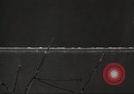 Image of workers in butchery United States USA, 1919, second 27 stock footage video 65675063935