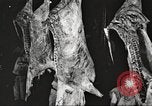 Image of workers in butchery United States USA, 1919, second 29 stock footage video 65675063935