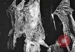 Image of workers in butchery United States USA, 1919, second 30 stock footage video 65675063935