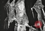 Image of workers in butchery United States USA, 1919, second 32 stock footage video 65675063935