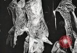 Image of workers in butchery United States USA, 1919, second 34 stock footage video 65675063935