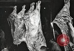 Image of workers in butchery United States USA, 1919, second 39 stock footage video 65675063935