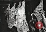 Image of workers in butchery United States USA, 1919, second 44 stock footage video 65675063935