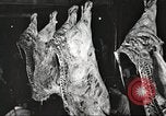 Image of workers in butchery United States USA, 1919, second 45 stock footage video 65675063935