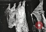 Image of workers in butchery United States USA, 1919, second 46 stock footage video 65675063935