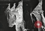 Image of workers in butchery United States USA, 1919, second 48 stock footage video 65675063935