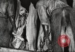Image of workers in butchery United States USA, 1919, second 49 stock footage video 65675063935
