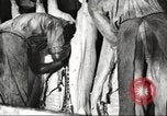 Image of workers in butchery United States USA, 1919, second 56 stock footage video 65675063935