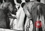 Image of workers in butchery United States USA, 1919, second 57 stock footage video 65675063935
