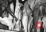 Image of workers in butchery United States USA, 1919, second 58 stock footage video 65675063935