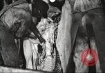 Image of workers in butchery United States USA, 1919, second 60 stock footage video 65675063935