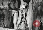 Image of workers in butchery United States USA, 1919, second 62 stock footage video 65675063935