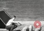 Image of workers in barn United States USA, 1920, second 8 stock footage video 65675063942