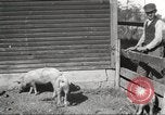 Image of workers in barn United States USA, 1920, second 18 stock footage video 65675063942
