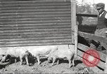 Image of workers in barn United States USA, 1920, second 28 stock footage video 65675063942