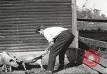 Image of workers in barn United States USA, 1920, second 32 stock footage video 65675063942