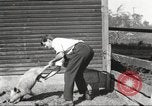 Image of workers in barn United States USA, 1920, second 34 stock footage video 65675063942