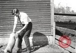 Image of workers in barn United States USA, 1920, second 38 stock footage video 65675063942