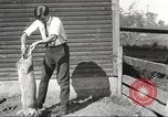 Image of workers in barn United States USA, 1920, second 39 stock footage video 65675063942