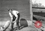Image of workers in barn United States USA, 1920, second 42 stock footage video 65675063942