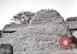 Image of workers in barn United States USA, 1920, second 52 stock footage video 65675063942