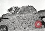 Image of workers in barn United States USA, 1920, second 53 stock footage video 65675063942