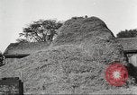 Image of workers in barn United States USA, 1920, second 54 stock footage video 65675063942