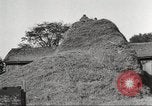 Image of workers in barn United States USA, 1920, second 55 stock footage video 65675063942