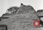 Image of workers in barn United States USA, 1920, second 56 stock footage video 65675063942