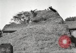 Image of workers in barn United States USA, 1920, second 57 stock footage video 65675063942