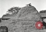Image of workers in barn United States USA, 1920, second 58 stock footage video 65675063942