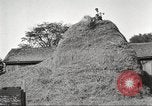 Image of workers in barn United States USA, 1920, second 59 stock footage video 65675063942